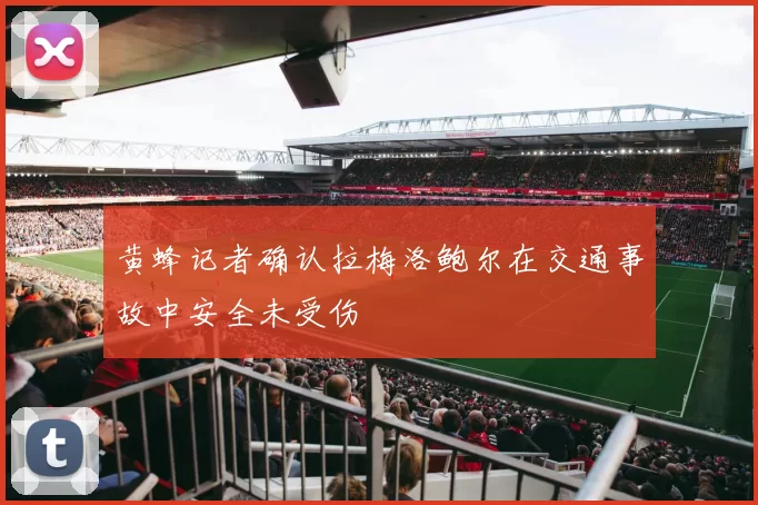 黄蜂记者确认拉梅洛鲍尔在交通事故中安全未受伤