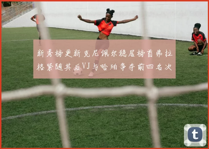 新秀榜更新克尼佩尔稳居榜首弗拉格紧随其后VJ与哈珀争夺前四名次