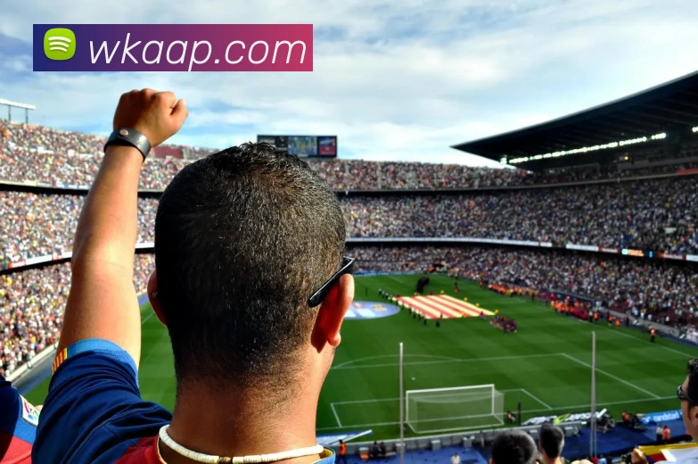 多媒体互动体验